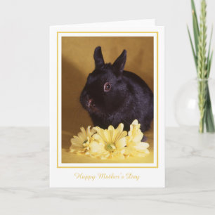 Le jour de mère - carte de voeux de lapin et de