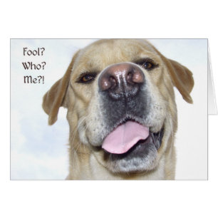 Le jour d'imbécile d'avril