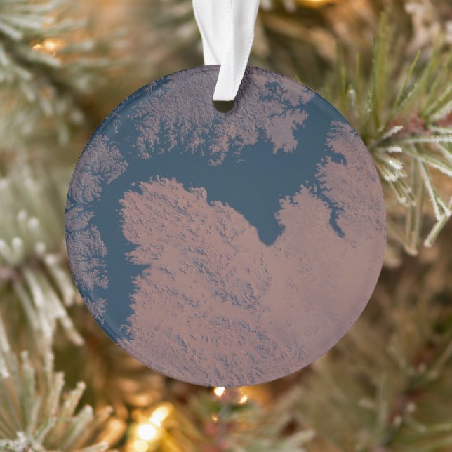 Le lac Nasser (Arbre)