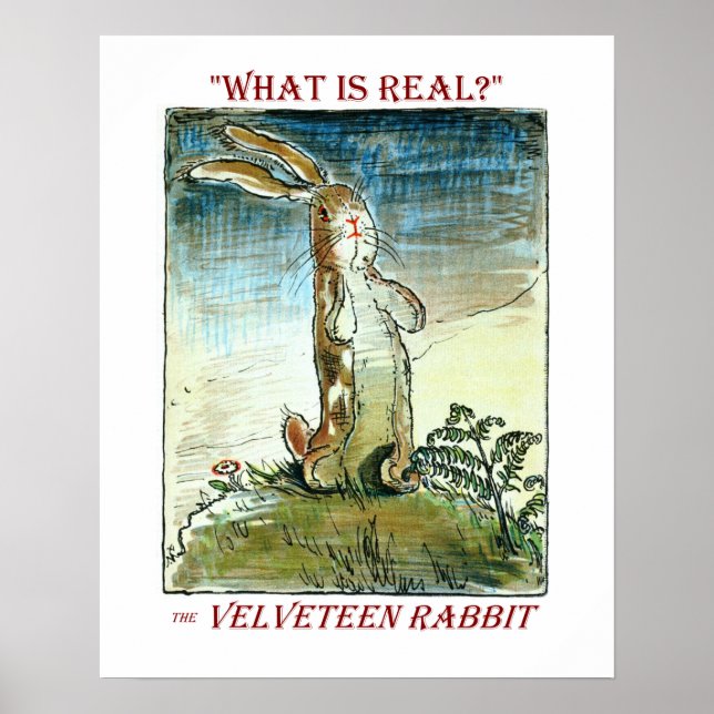 Le lapin Velveteen - Poster (Devant)
