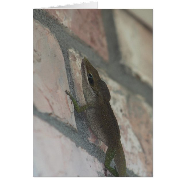 Le Lézard Sombre (Devant)