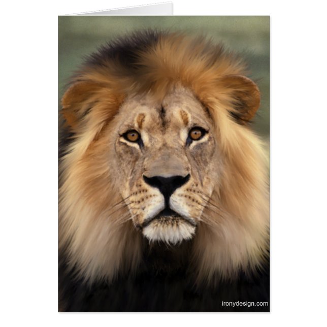 Le lion (Devant)
