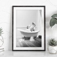 Le lion de mer dans la baignoire Poster