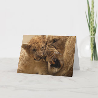 Le lion et la carte de CUB