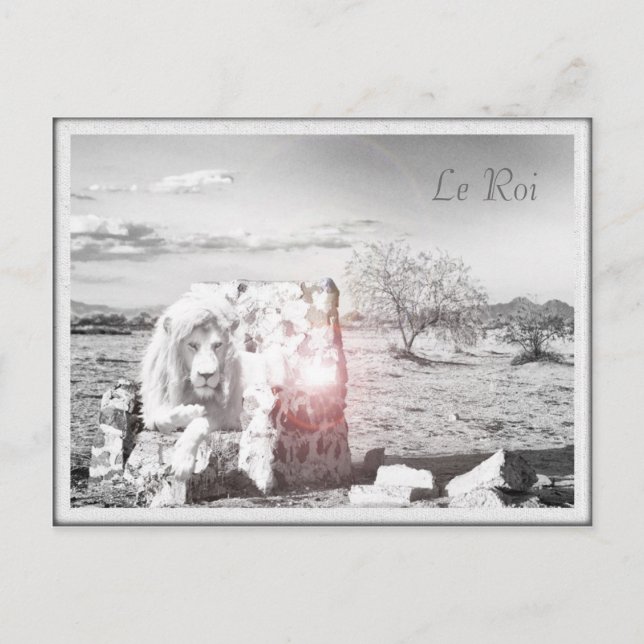 Le Lion Roi carte postale Postcard (Front)
