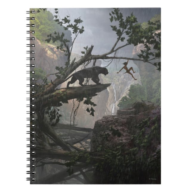 Le livre de la jungle | Mystère de la Jungle (Devant)