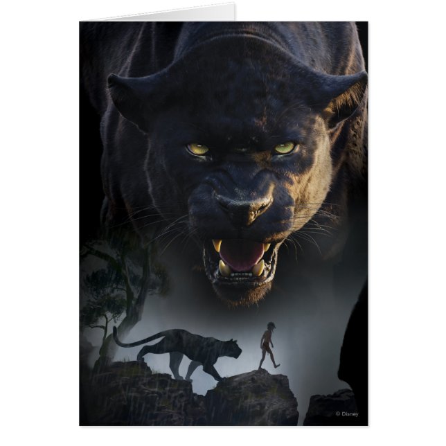 Le livre de la jungle | Poussez les limites (Devant)