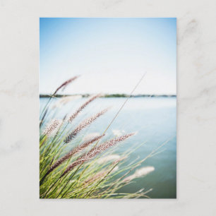 Le long du Saint-Laurent Postcard