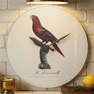 Le Lori ecaille / Blue-streaked lory  Large Clock