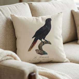 Le Lori noir / Black lory  Throw Pillow
