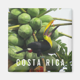 Le Magnet de souvenirs du Costa Rica Tropical Touc