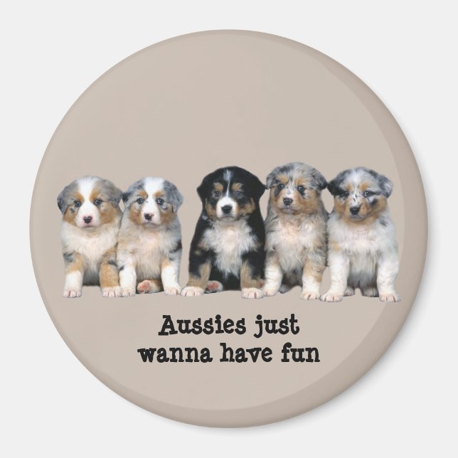 Le Magnet des marionnettes de berger australien (Devant)