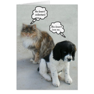 Le malentendu éternel...