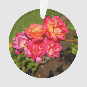 Le manteau de Joseph s'est levé l'ornement #1