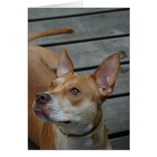 Le meilleur chez l'homme