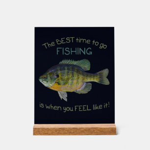 Le Meilleur Moment Pour Aller À La Pêche Est Quand