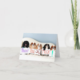 Le Merci Card.jpg de Terri