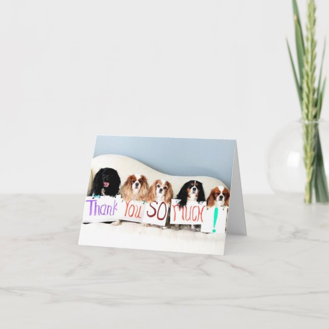 Le Merci Card.jpg de Terri (Devant)