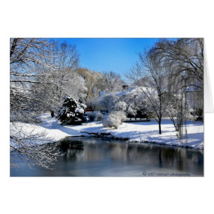 Le monde blanc parle sans bruit.