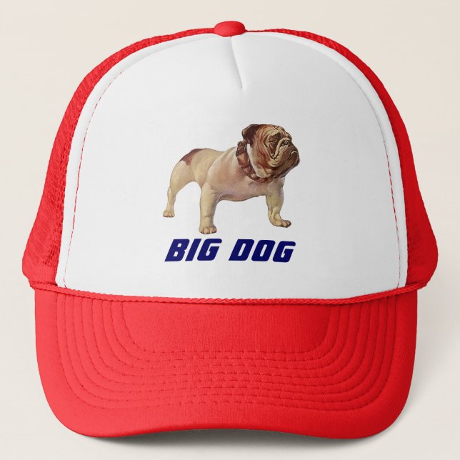 Le moteur du GRAND de CHIEN de CASQUETTE (Devant)