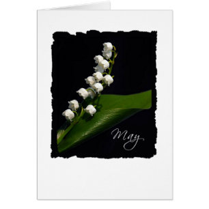 Le muguet - pouvez
