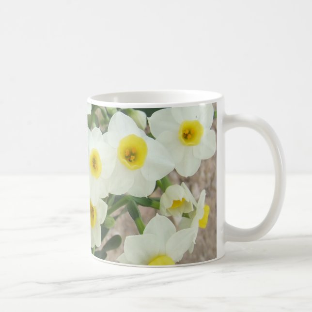 Le narcisse blanc fleurit la tasse (Droite)