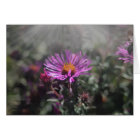 Le Nébraska ville en octobre 2015