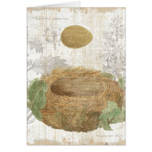 Le nid d'un oiseau avec un oeuf Brown