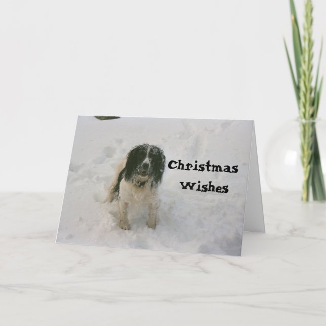 Le Nowzad poursuit la carte de Noël (1) (Devant)