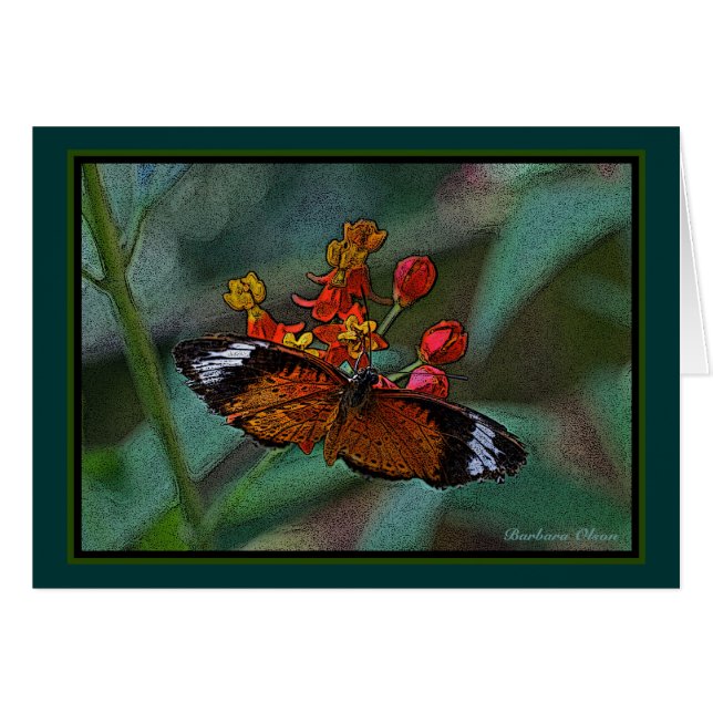 Le papillon de Lacewing de léopard (cyane de (Devant horizontal)