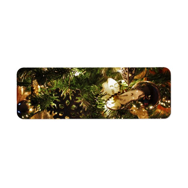 Le papillon de Noël (Devant)