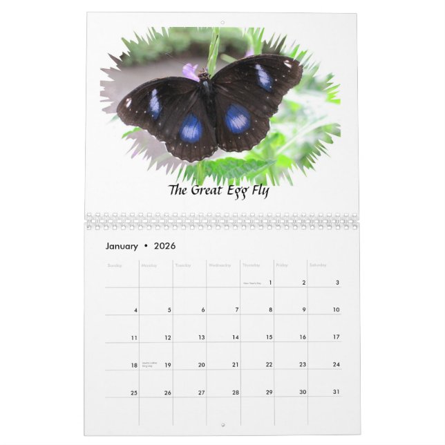 Le papillon photographie le calendrier 2012 (Jan 2026)