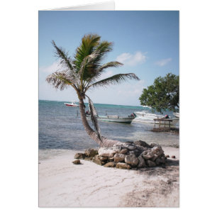 Le paradis du pêcheur