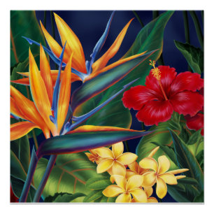 Le paradis tropical Hawaï Affiches florales