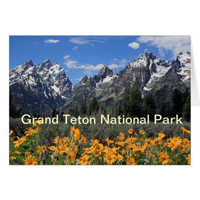 Le Parc national de Grand Teton (Devant Horizontal)