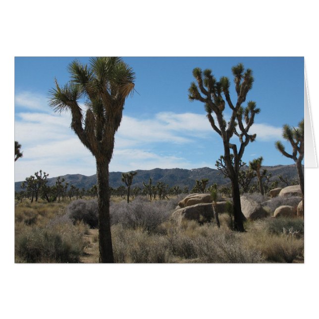 Le Parc national de Joshua Tree (Devant horizontal)