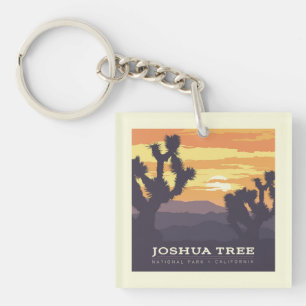Le Parc national de Joshua Tree   Californie