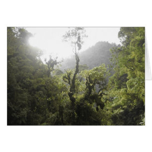 Le Parc national de Manu