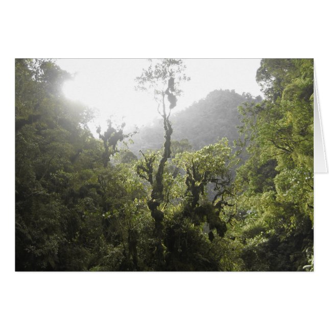 Le Parc national de Manu (Devant horizontal)