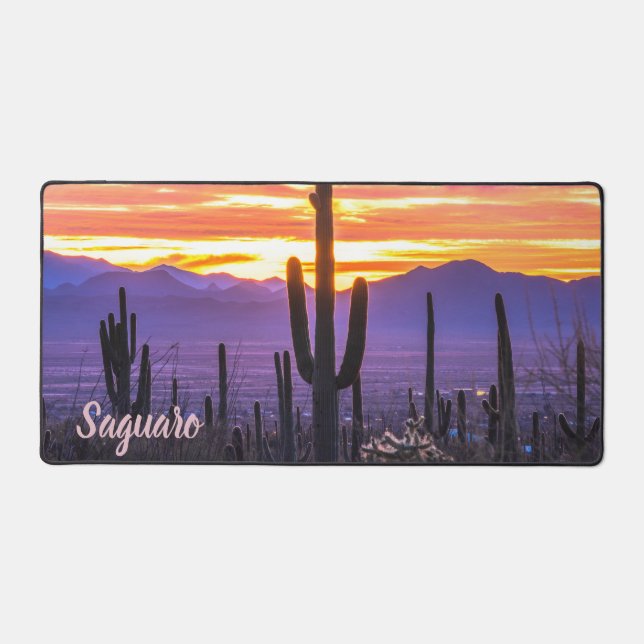 Le Parc national du Saguaro (Recto)