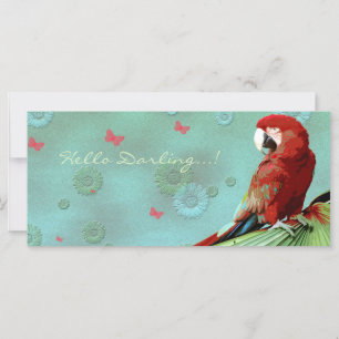 LE PARROT ~ Carte de voeux / Carte postale