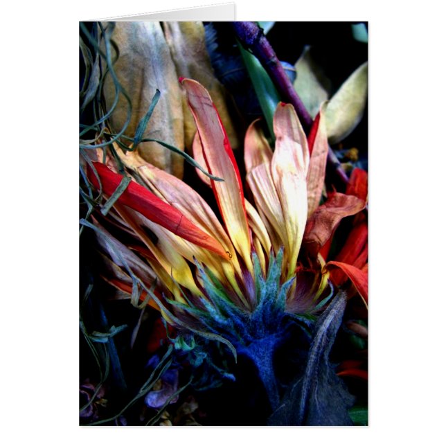 le passage des fleurs (Front)