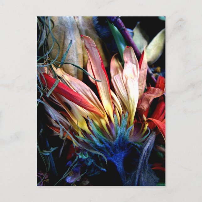 le passage des fleurs postcard (Front)