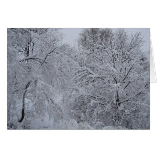 Le pays des merveilles d'hiver