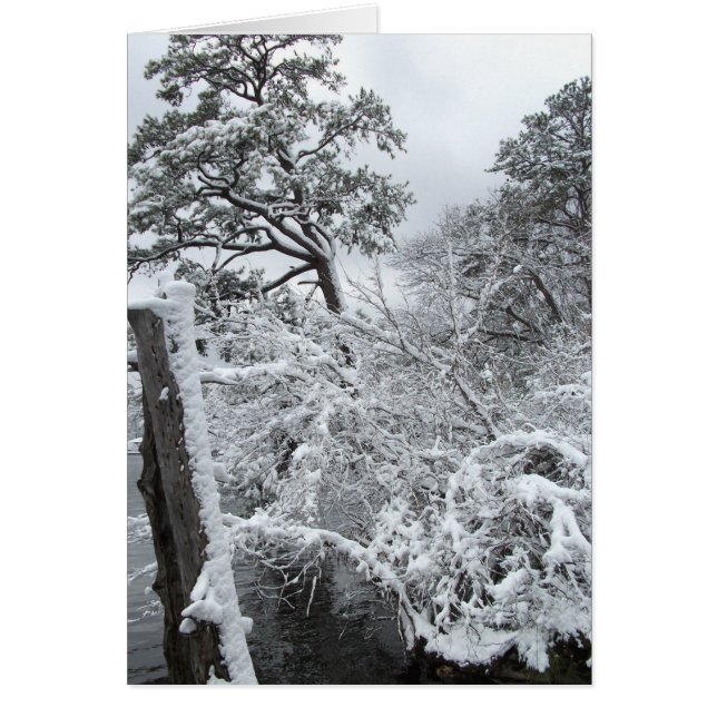 Le pays des merveilles II d'hiver (Devant)