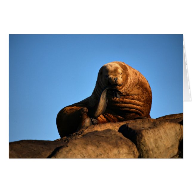 Le penseur (Devant horizontal)