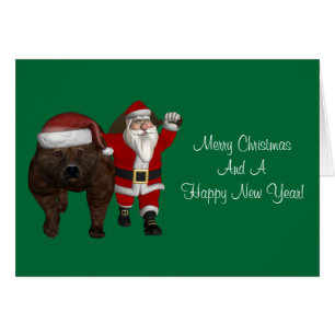 Le Père Noël aime les ours