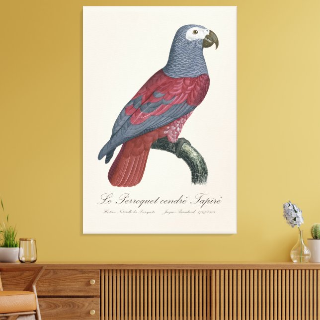 Le Perroquet cendre Tapire  Canvas Print (Insitu(LivingRoom))