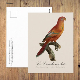Le Perruche ecarlate  Postcard