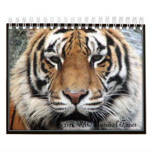 Le petit animal sauvage fait face au calendrier